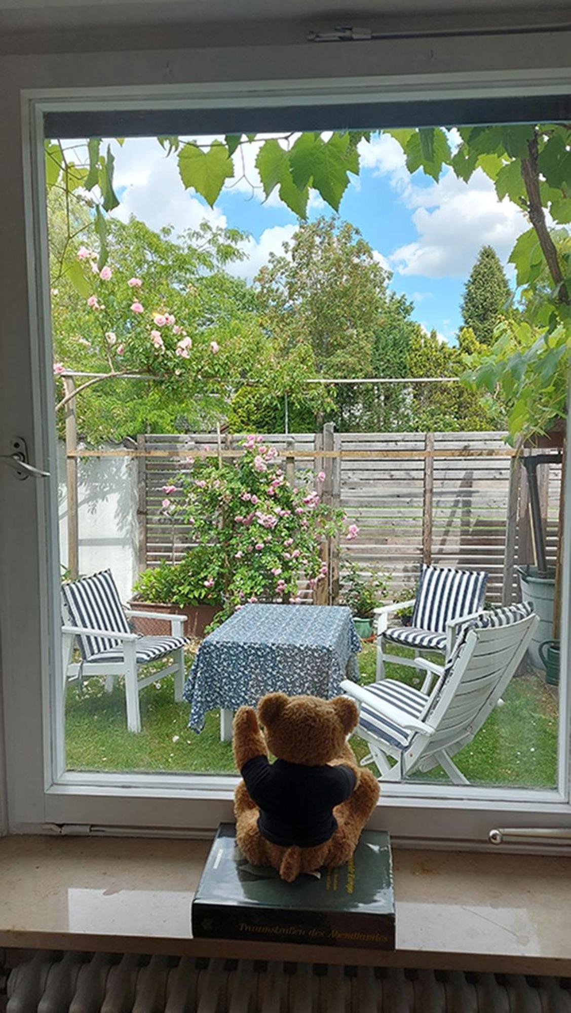 Ferienwohnung Gruenwald * Grunwald